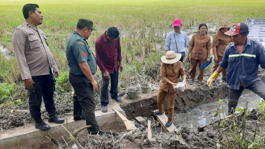 Trial go Pembangunan Saluran Irigasi Siandor Desa Lumban Manurung