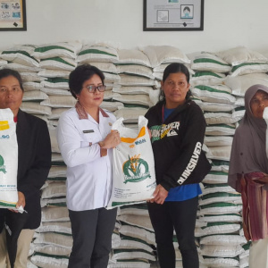 Penyaluran Bantuan Pangan Cadangan Beras Pemerintah (CBP) Bulan September di Kecamatan Parmaksian