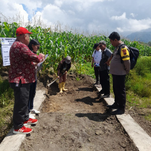 Trial Go Pembangunan Rabat Beton Mual Bagot s/d Saung Tani Dusun II Desa Dolok Nauli